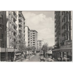 LOMBARDIA MILANO CINISELLO VIA CADORNA MF56221