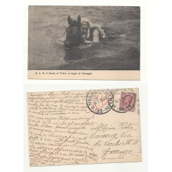 CARTOLINA - PERSONAGGI - IL...