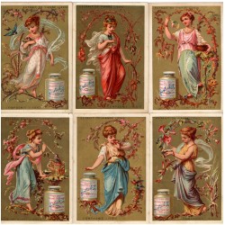 S 0094 LIEBIG RAGAZZE SU RAMI FEMMES ( FRA ) S 94 MF23654