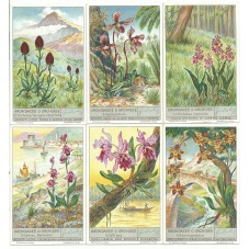 S 1362 / LIEBIG /...