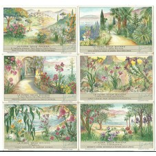 S 1354 / LIEBIG / LA FLORA...