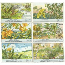 S 1344 / LIEBIG / SEMI AL...