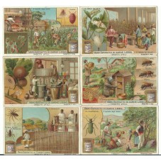 S 0700 / LIEBIG / DROGHE...