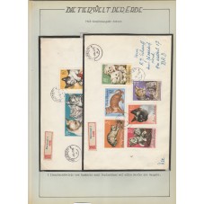 1965 ROMANIA FAUNA GATTI...