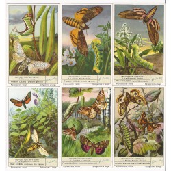 S 1497 / LIEBIG /...