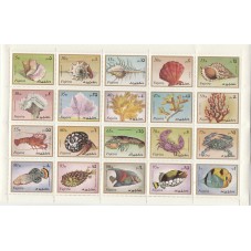 FUJEIRA 1972 FAUNA MARINA...