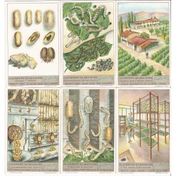 S 1370 / LIEBIG /...