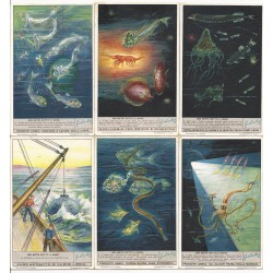 S 1360 / LIEBIG / 900 METRI...