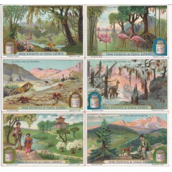 S 1171 / LIEBIG / LA VITA...