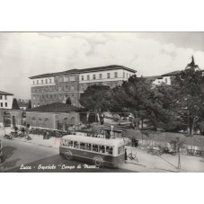 CARTOLINA -TOSCANA - LUCCA...