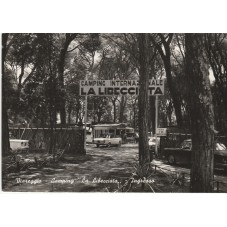 CARTOLINA -TOSCANA - LUCCA...