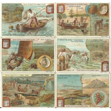 S 0716 / LIEBIG / I TESORI...