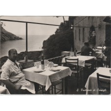 CARTOLINA LIGURIA GENOVA...