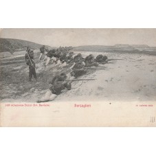 CARTOLINA BERSAGLIERI -...