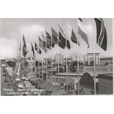 CARTOLINA FIERA CAMPIONARIA...