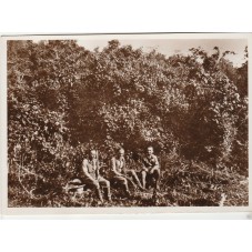 CARTOLINA ETIOPIA FORESTA...