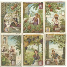 S 0630 / LIEBIG / FRUTTA E...