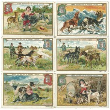 S 0615 / LIEBIG / CANI 1...