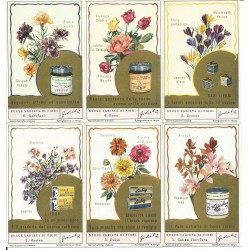 S 1617 / LIEBIG / NUOVE...