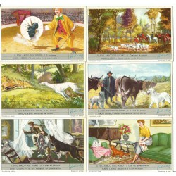 S 1636 / LIEBIG / IL FIDO...