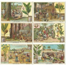 S 0707 / LIEBIG / PIANTE...