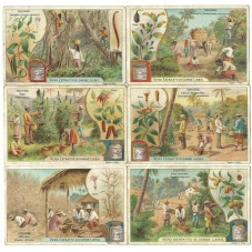 S 0700 / LIEBIG / DROGHE...