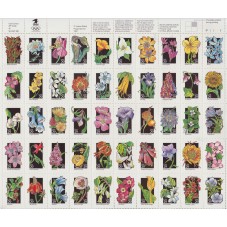 1992 STATI UNITI U.S.A....