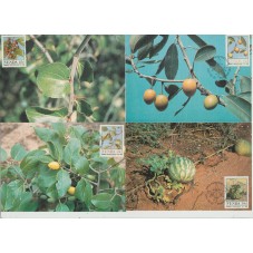 VENDA 1985 MAXIMUM FLORA 4...