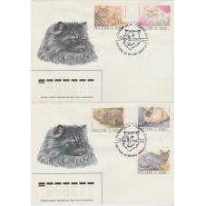 1996 RUSSIA FAUNA GATTI...