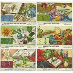 S 1538 / LIEBIG /...