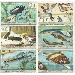 S 1529 / LIEBIG /...