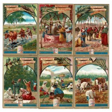 S 0566 - LIEBIG - PIANTE...