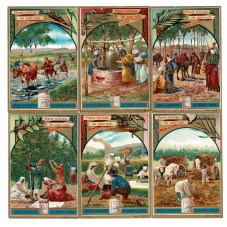 S 0566 - LIEBIG - PIANTE...