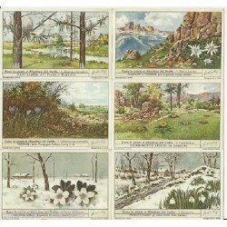 S 1477 / LIEBIG / COME LE...