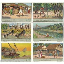 S 1427 / LIEBIG / IL BAMBU...