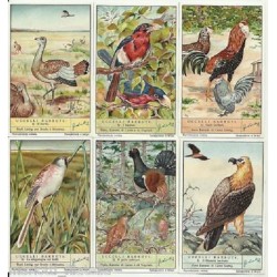 S 1408 / LIEBIG / UCCELLI...