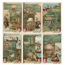 S 0938 LIEBIG NEL REGNO...