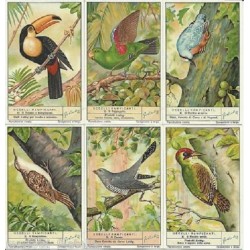 S 1365 / LIEBIG / UCCELLI...