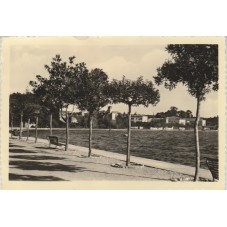 CARTOLINA VENETO VERONA...