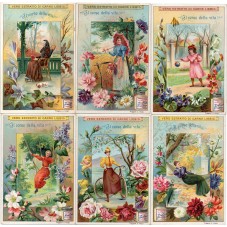 S 0689 / LIEBIG / IL CORSO...