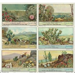 S 1309 / LIEBIG /...