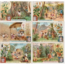 S 0700 / LIEBIG / DROGHE...