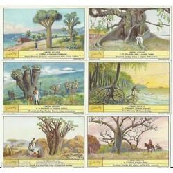 S 1306 / LIEBIG / ALBERI...