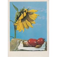 CARTOLINA ROK - KARTE -...