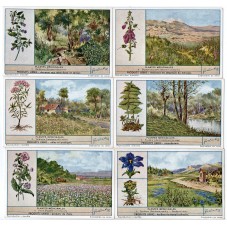 S 1451 / LIEBIG / PIANTE...