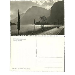 CARTOLINA TRENTINO ALTO...