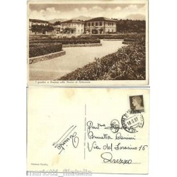 CARTOLINA - TOSCANA - LUCCA...