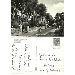 CARTOLINA - TOSCANA - LUCCA...