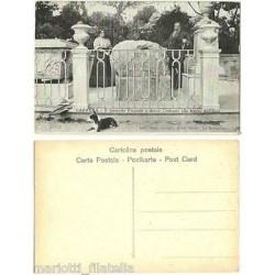 CARTOLINA SARDEGNA OLBIA...