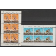 1967 NUOVA ZELANDA...